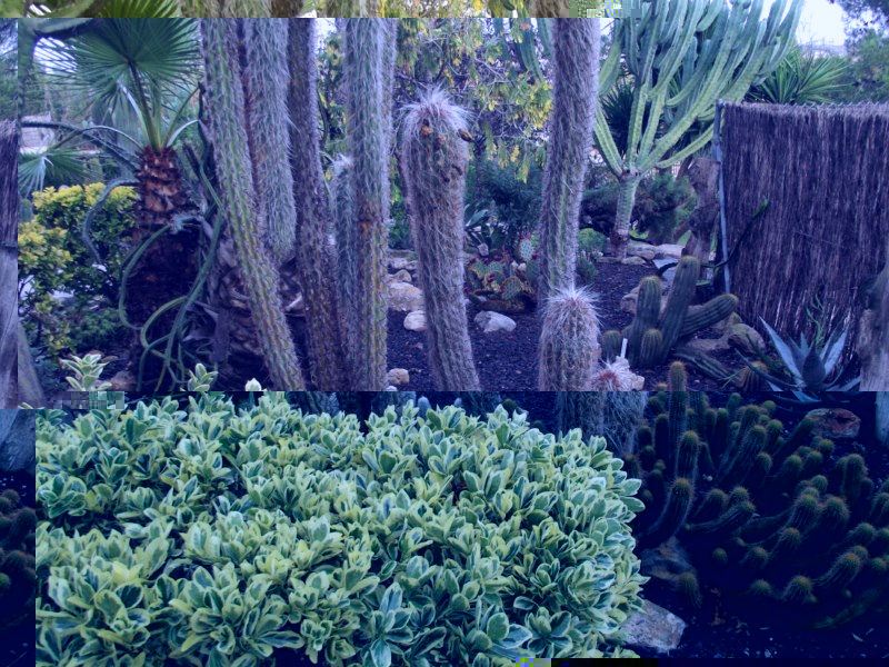 Vistas jardín-DSCF3866 [800x600].jpg