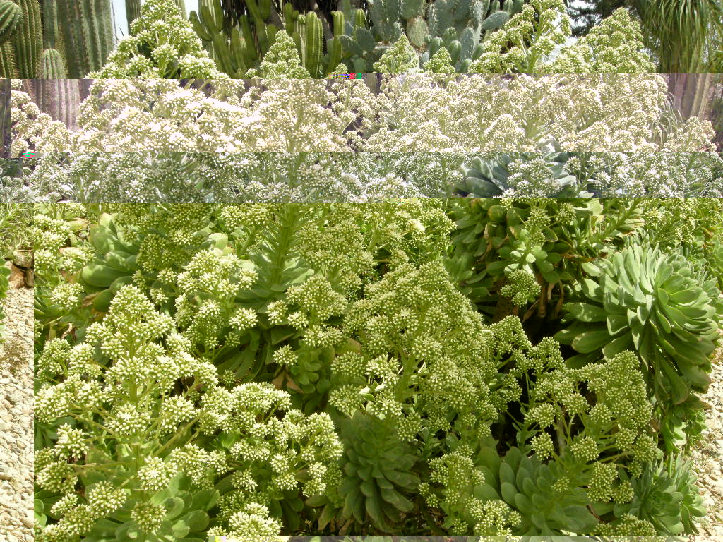 DSCN9151.JPG