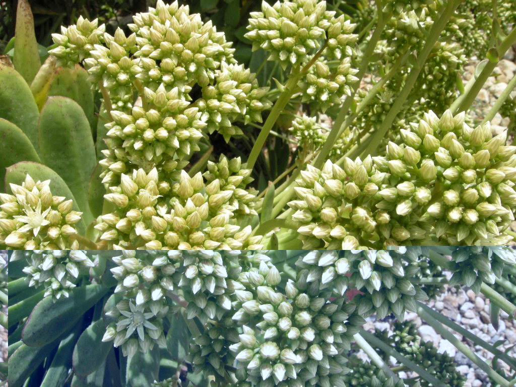 DSCN9152.JPG