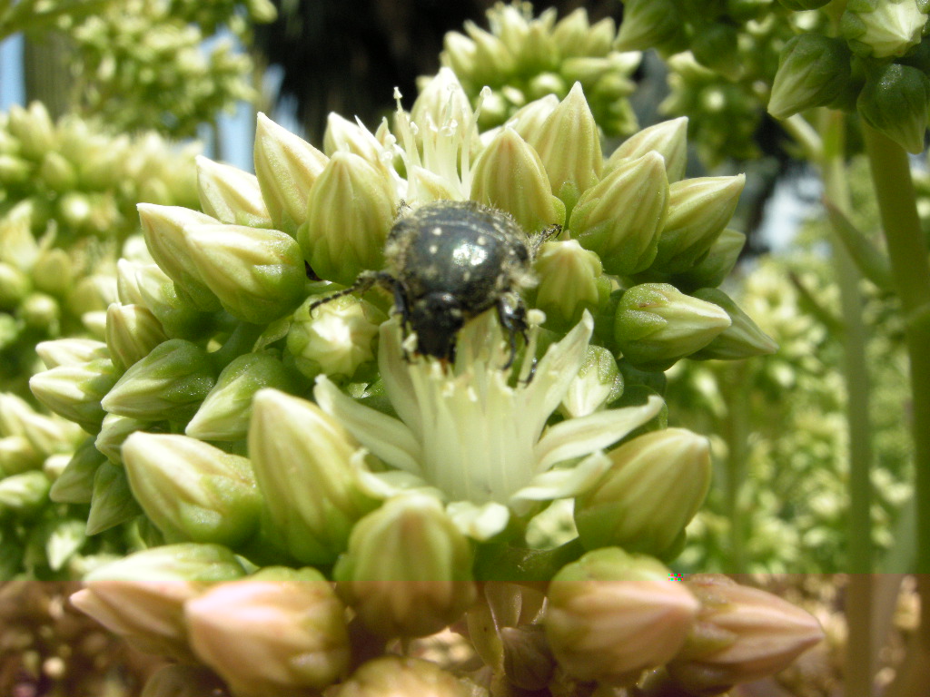 DSCN9155.JPG