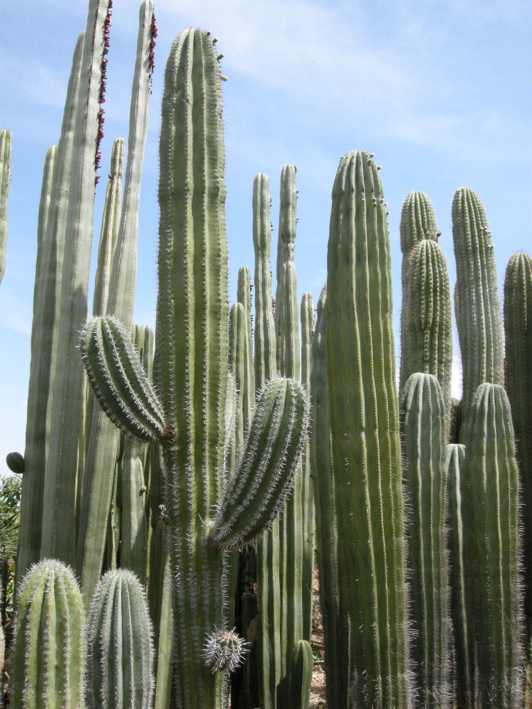 DSCN9156.JPG