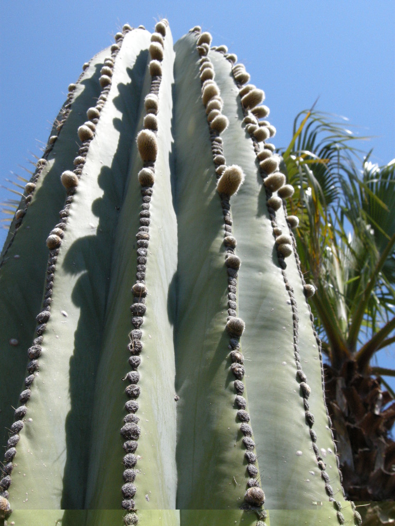 DSCN9195.JPG