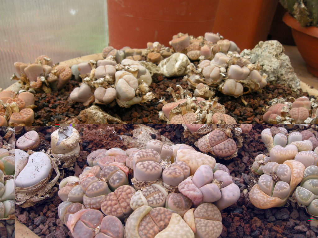 DSCN9224.JPG
