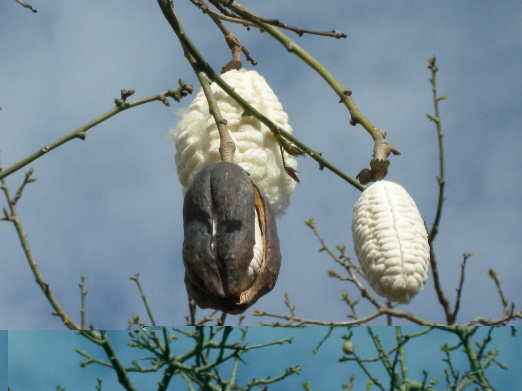 DSCN9225.JPG