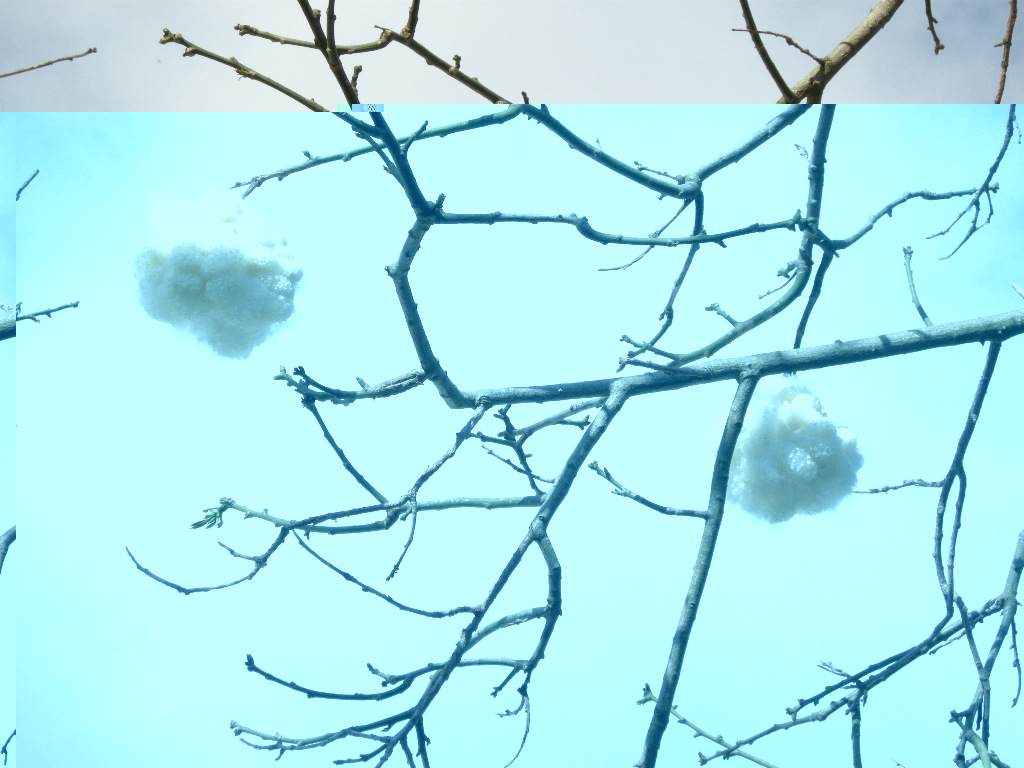 DSCN9227.JPG