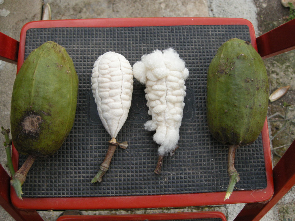 DSCN9229.JPG