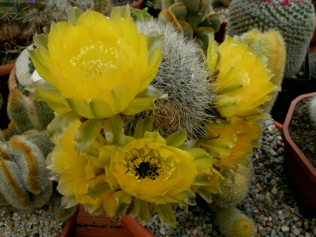 DSCN9248.JPG