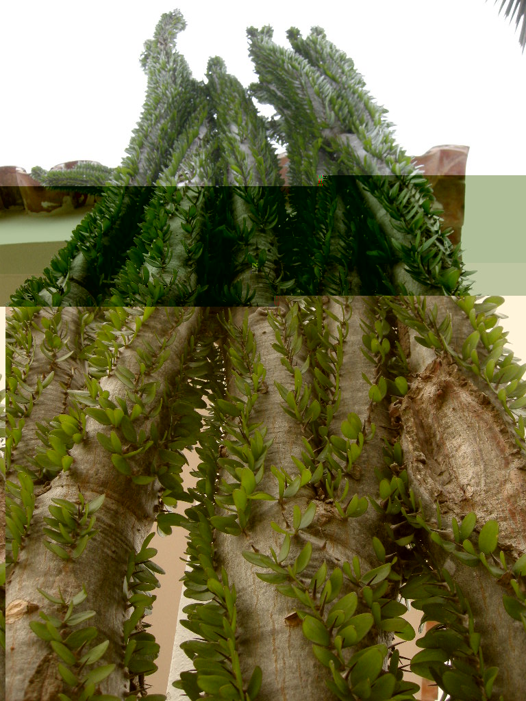 DSCN9261.JPG