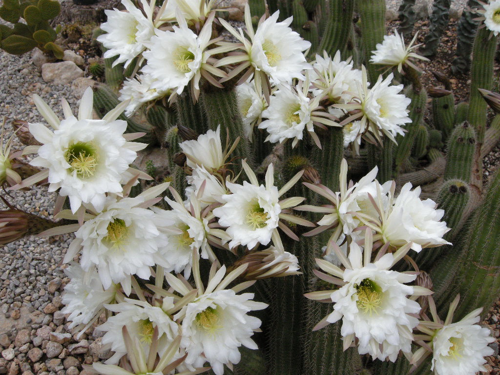 DSCN9287.JPG