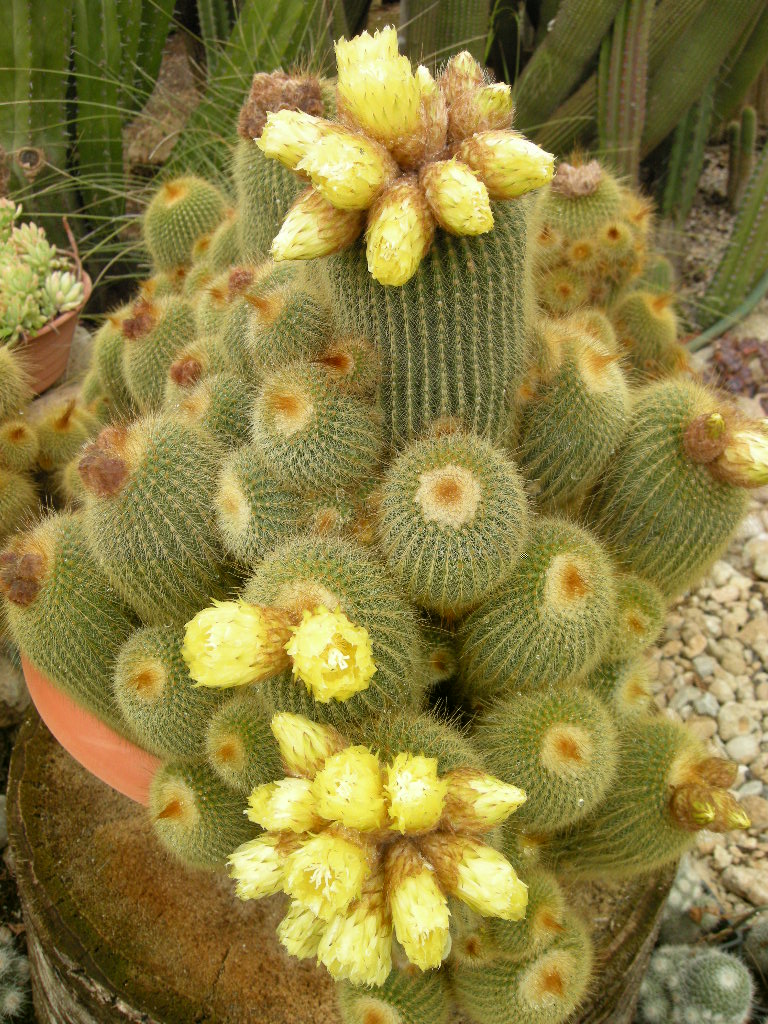 DSCN9281.JPG