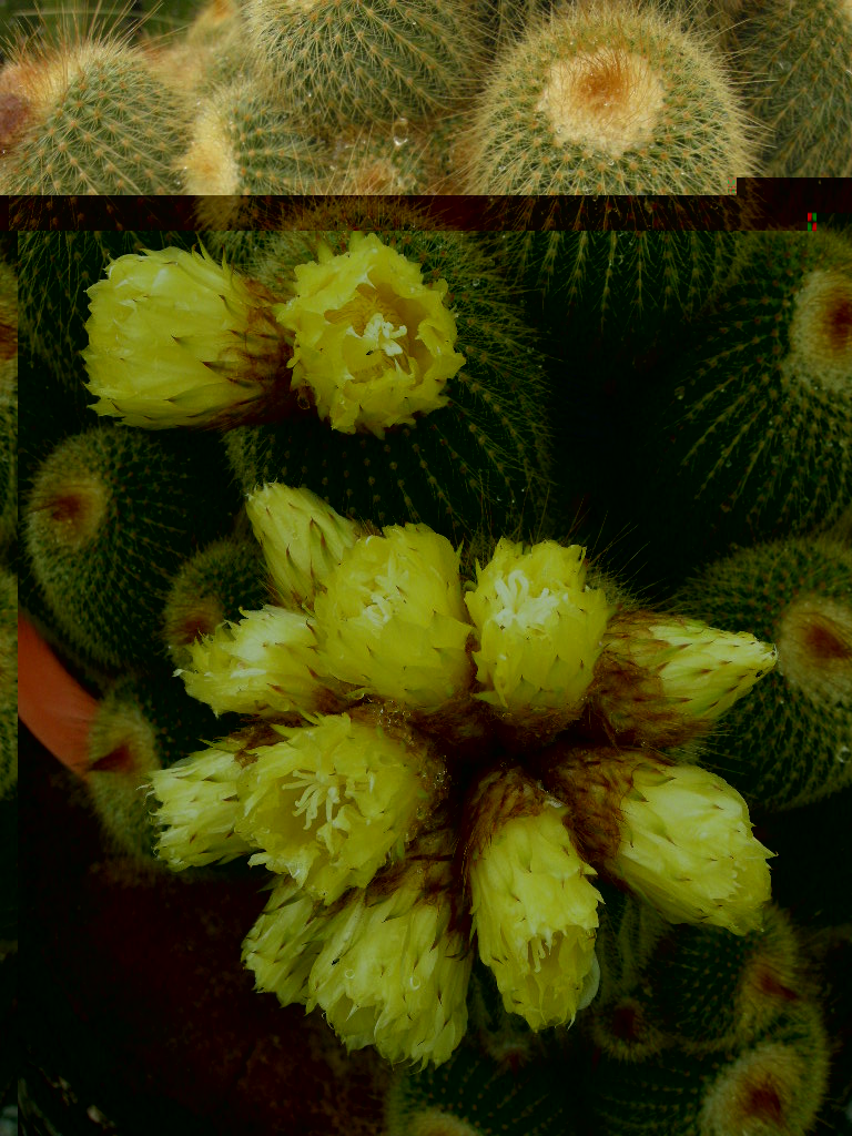 DSCN9280.JPG