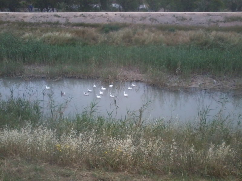 andando por la mota del rio Segura