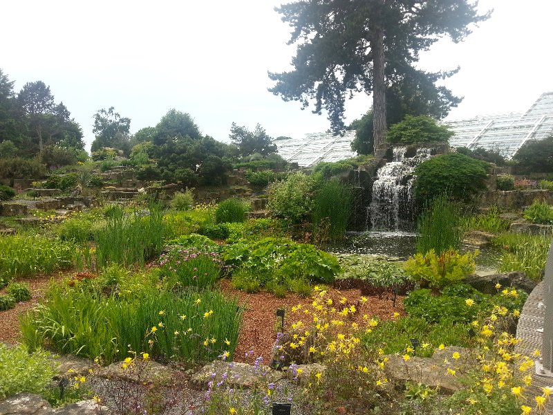 20130617_140515 2_800x600.jpg