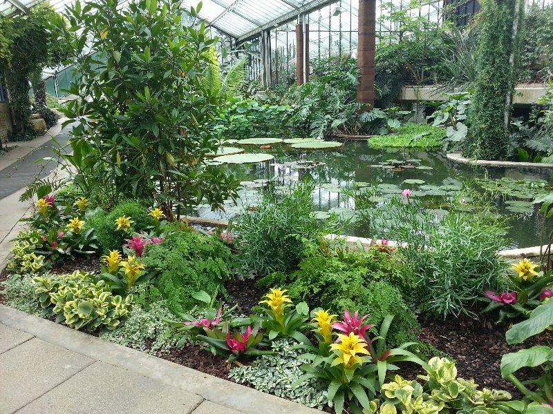 20130617_123319_800x600.jpg