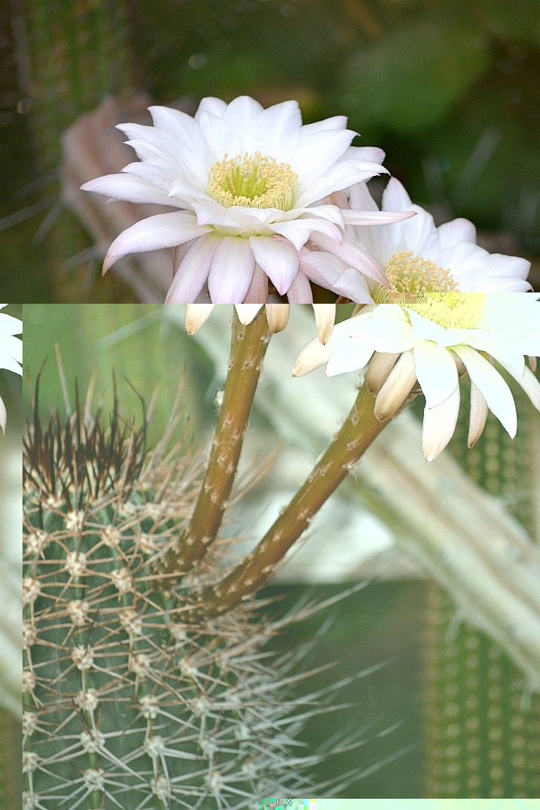 29-JUN 2013 018 [50%] [50%].jpg