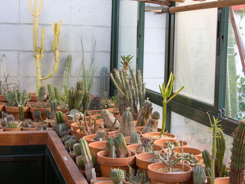 jardin2.jpg