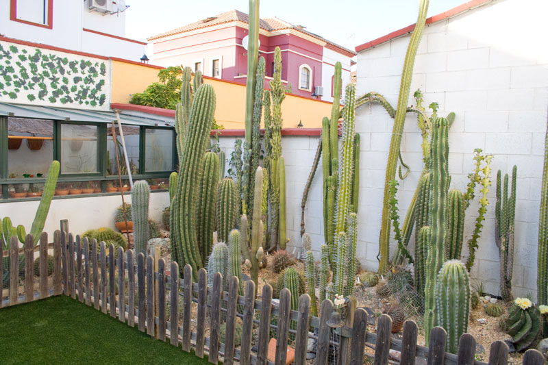 jardin4.jpg