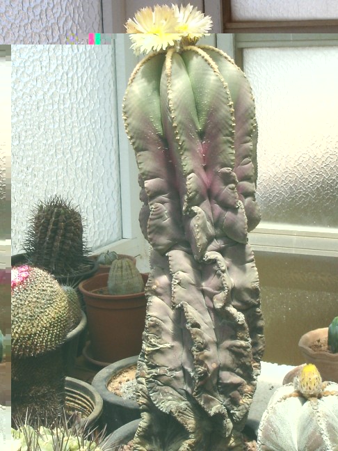 270512 007 [50%] [50%].jpg