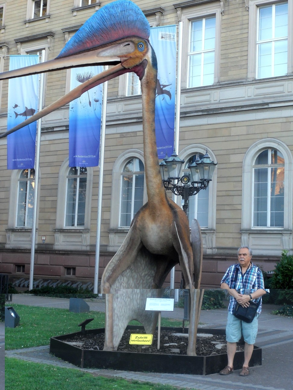 Quetzalcoatlus [50%].jpg