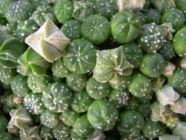 DSCN0043.JPG