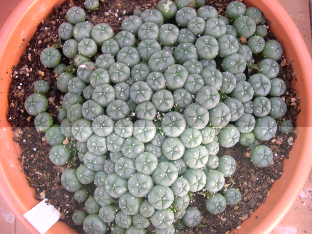 DSCN0021.JPG