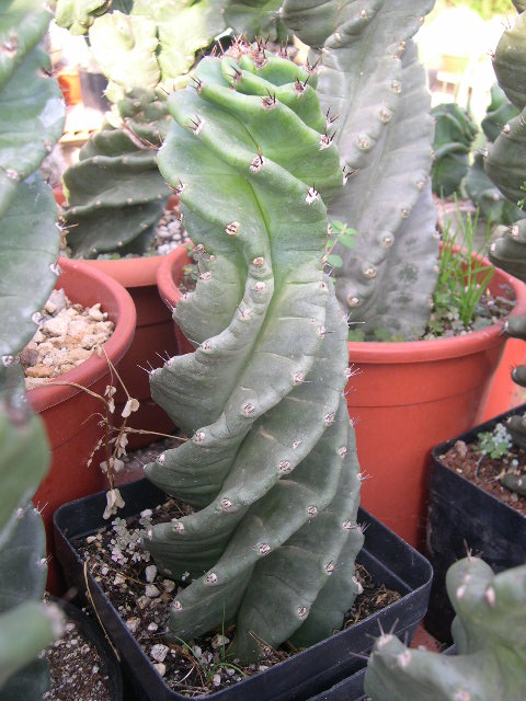 DSCN0075.JPG