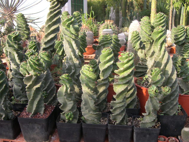 DSCN0076.JPG