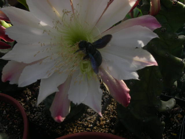 DSCN0033.JPG