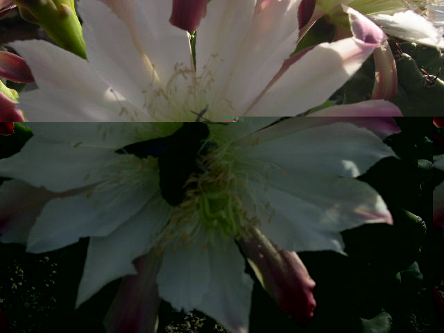 DSCN0035.JPG