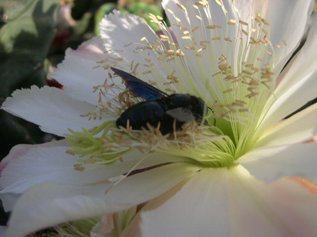 DSCN0071.JPG