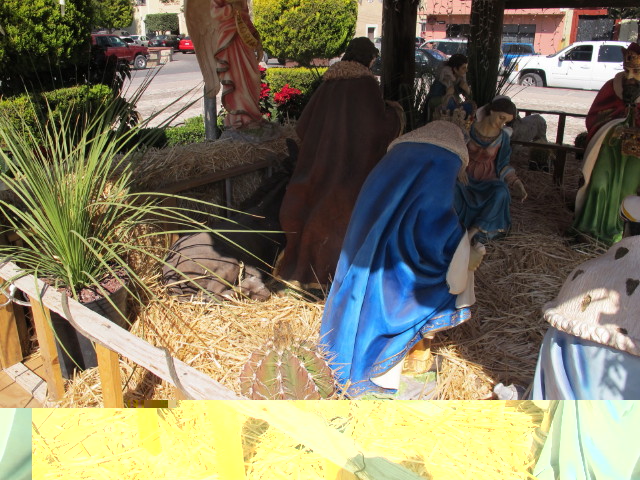 IMG_5416.jpg