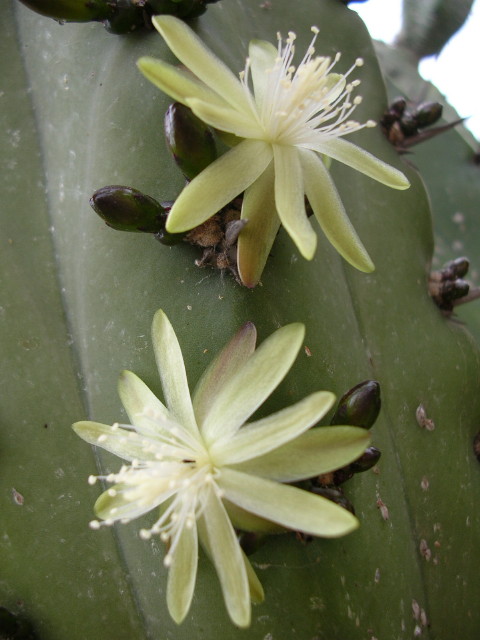 DSCN0393.jpg