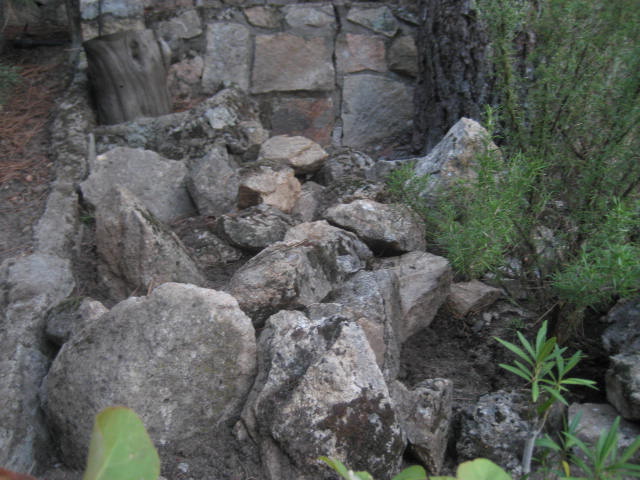 IMG_2595.JPG