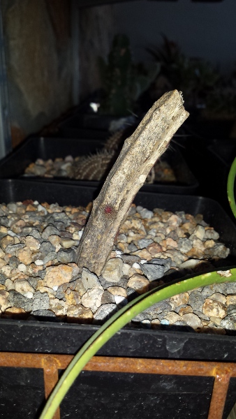 20140501_203150.jpg