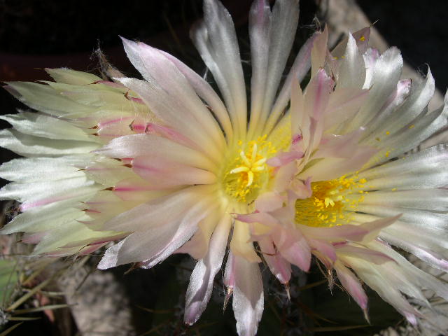 DSCN0025.JPG