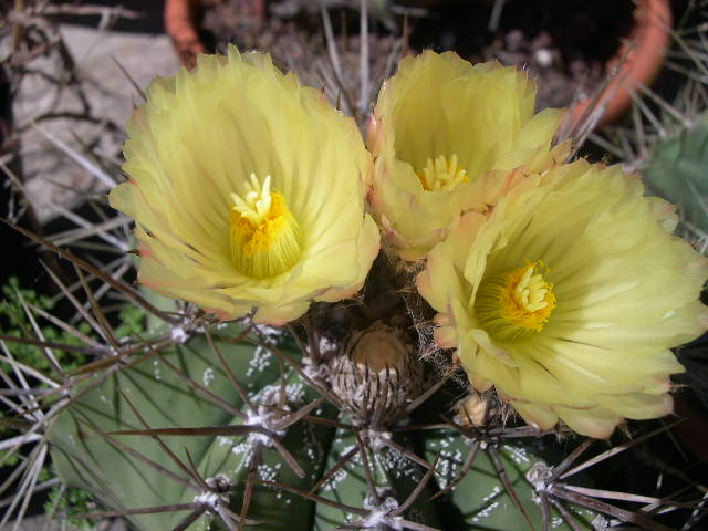 DSCN0026.JPG