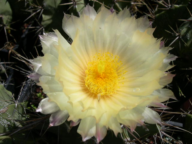 DSCN0031.JPG