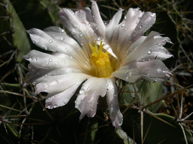DSCN0032.JPG