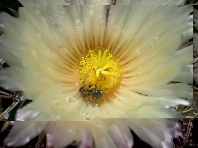 DSCN0033.JPG
