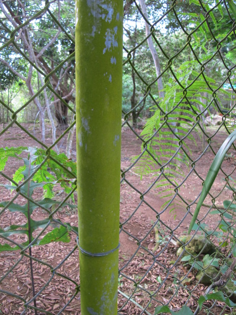 Tubo galvanizado