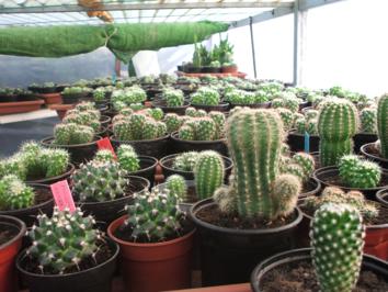 2008_0426juan0002_354x266.JPG