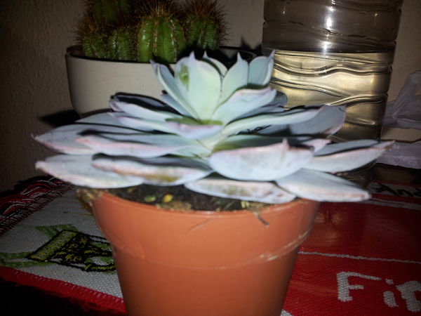 20141231_114657_opt.jpg
