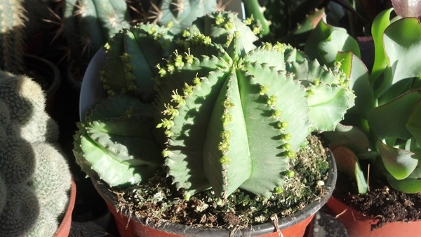 2015-02-23_17-33-44_57.jpg