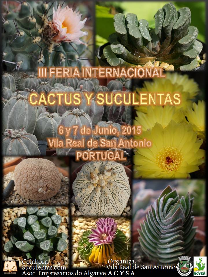 Poster feria cactus 2015.jpg