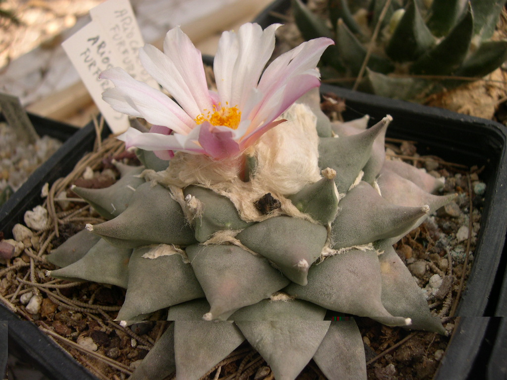 DSCN0045.JPG