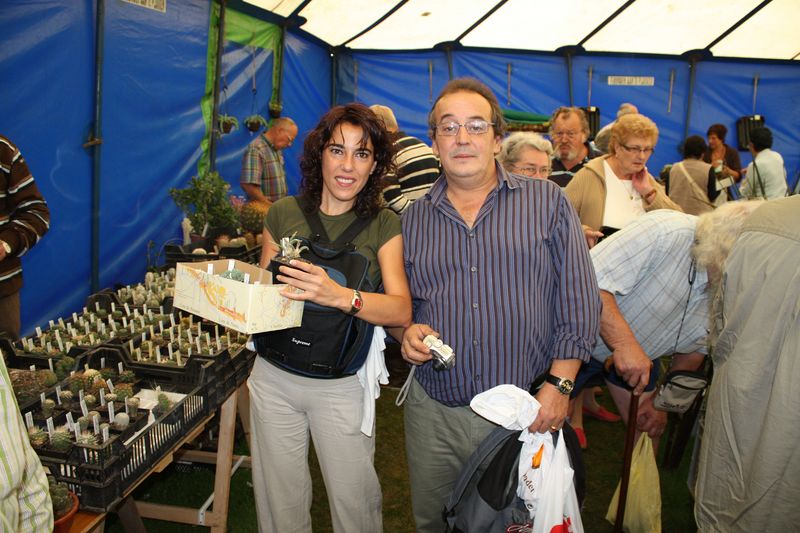 Venta-belgica-kirayantonio.jpg