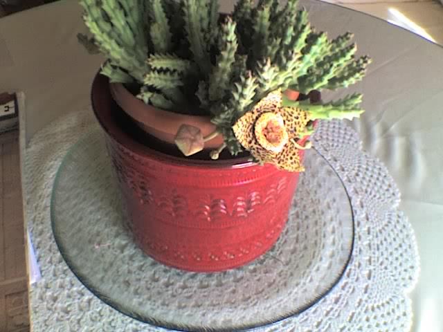 10-09-08_1403.jpg