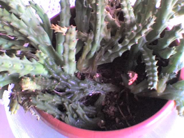 03-10-08_0825.jpg