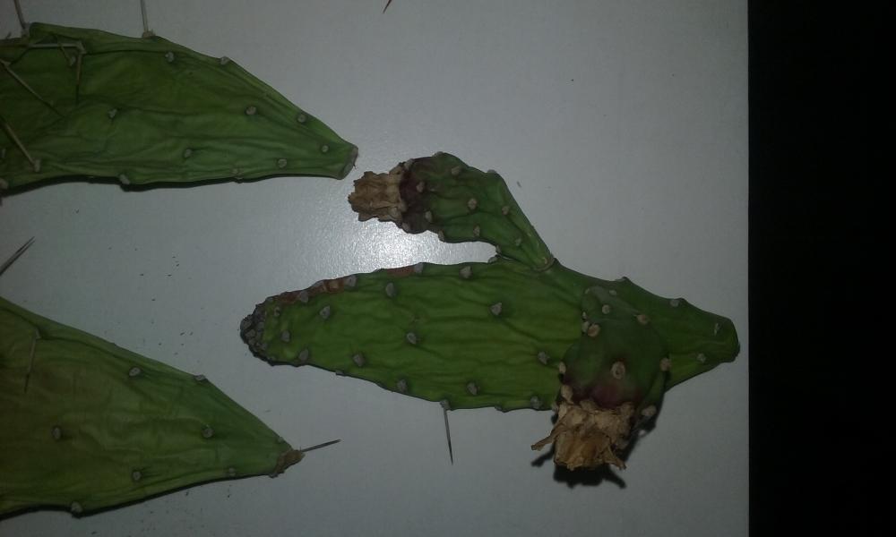 20150819_200549.jpg