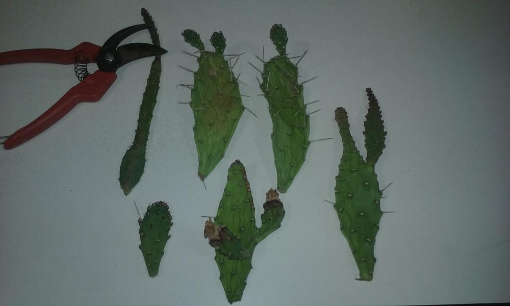20150819_200510.jpg